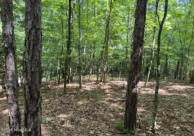 Photo 2 of Land for sale at 11 Green Cvs Cir, Murphy, NC 28906 | MLS# 100593735 | Listing updated on 2026-08-18