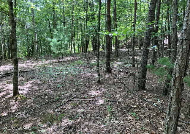 Photo 3 of Land for sale at 11 Green Cvs Cir, Murphy, NC 28906 | MLS# 100593735 | Listing updated on 2026-08-18