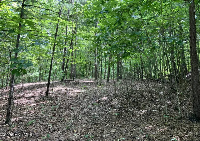 Photo 3 of Land for sale at 11 Green Cvs Cir, Murphy, NC 28906 | MLS# 100593735 | Listing updated on 2026-08-18