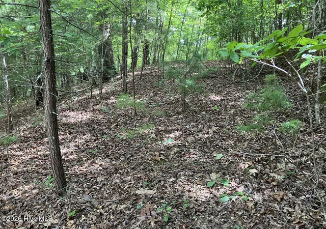 Photo 4 of Land for sale at 11 Green Cvs Cir, Murphy, NC 28906 | MLS# 100593735 | Listing updated on 2026-08-18
