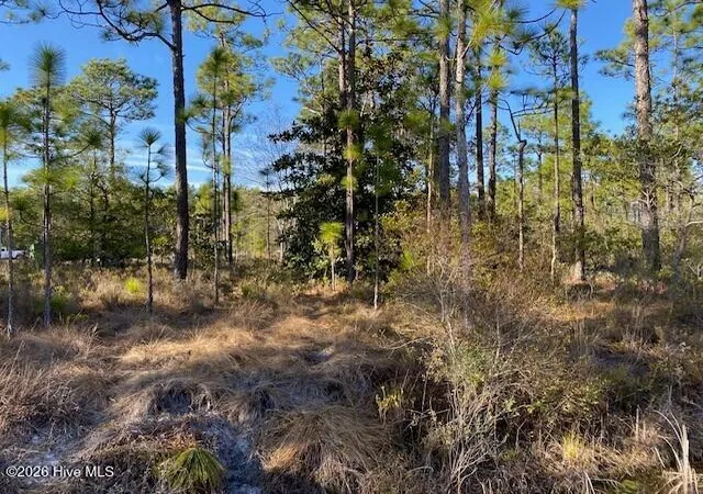 3rd image of Lot 79 Sunset Dr, Boiling Spring Lakes, NC 28461 | MLS# 100561285