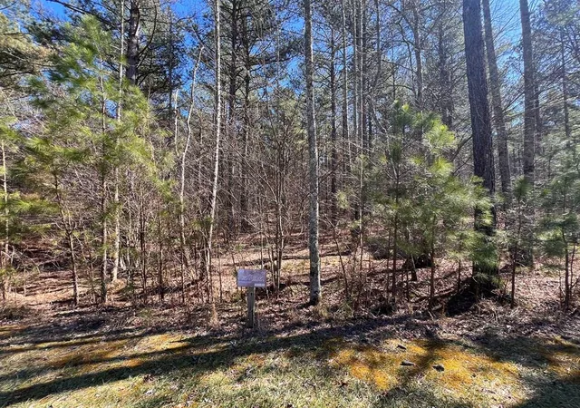 1st image of Lot 50 Deyton Dr, Blairsville, GA 30512 | MLS# 98525137