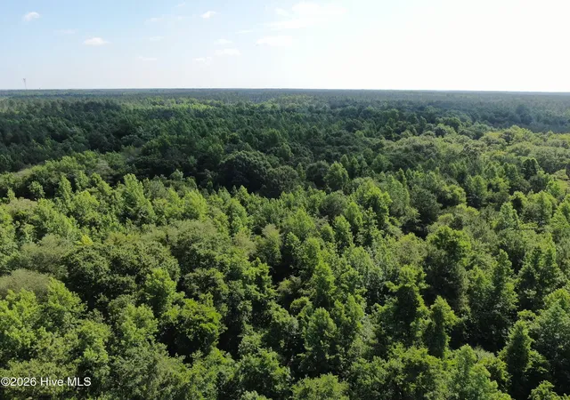 Homes for sale in Warsaw, NC | Tbd Oliver Carlton Rd, Warsaw, NC 28398 | MLS# 100584000