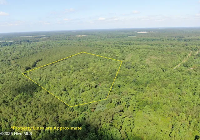 Homes for sale in Warsaw, NC | Tbd Oliver Carlton Rd, Warsaw, NC 28398 | MLS# 100584000