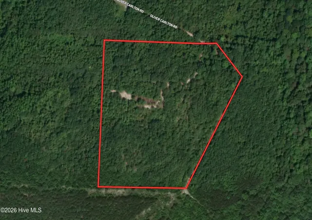 Homes for sale in Warsaw, NC | Tbd Oliver Carlton Rd, Warsaw, NC 28398 | MLS# 100584000