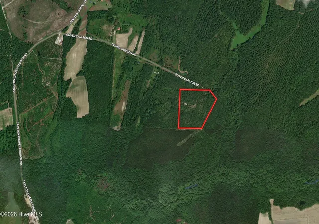 Homes for sale in Warsaw, NC | Tbd Oliver Carlton Rd, Warsaw, NC 28398 | MLS# 100584000