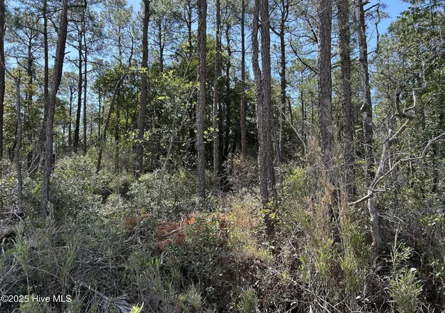 Photo 1 of Land for sale at 7580 Plantation Rd, Wilmington, NC 28411 | MLS# 100511456 | Listing updated on 2026-03-30