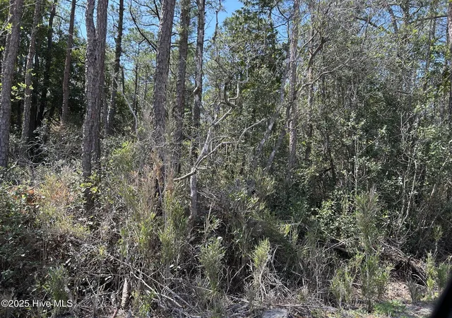 Photo 2 of Land for sale at 7580 Plantation Rd, Wilmington, NC 28411 | MLS# 100511456 | Listing updated on 2026-03-30