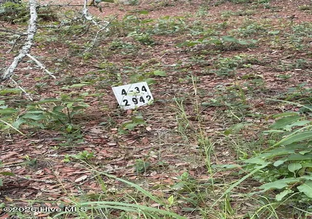 Photo 3 of Land for sale at 2942 Sugar Sand Dr SE, Bolivia, NC 28422 | MLS# 100588786 | Listing updated on 2026-08-18