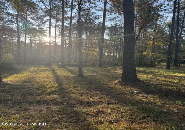 Photo 1 of Land for sale at 219 Ocracoke Dr, Oriental, NC 28571 | MLS# 100569505 | Listing updated on 2026-05-01