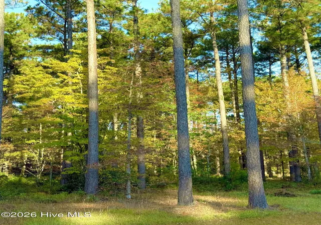 Photo 3 of Land for sale at 219 Ocracoke Dr, Oriental, NC 28571 | MLS# 100569505 | Listing updated on 2026-05-01