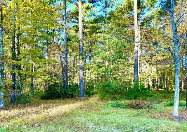 Photo 3 of Land for sale at 219 Ocracoke Dr, Oriental, NC 28571 | MLS# 100569505 | Listing updated on 2026-05-01