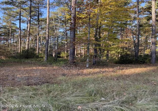 Photo 4 of Land for sale at 219 Ocracoke Dr, Oriental, NC 28571 | MLS# 100569505 | Listing updated on 2026-05-01