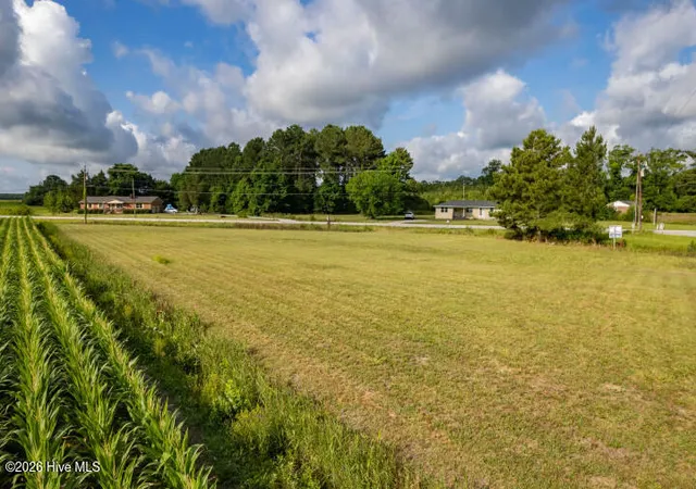12th image of 0 Alligator Loop Rd, Merritt, NC 28556 | MLS# 100584081