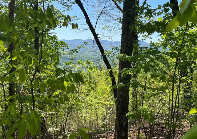 Photo 1 of Land for sale at Lot 11j Ash Branch View, Hayesville, NC 28904 | MLS# 98544298 | Listing updated on 2026-07-21