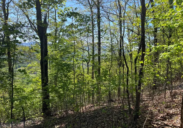 Photo 3 of Land for sale at Lot 11j Ash Branch View, Hayesville, NC 28904 | MLS# 98544298 | Listing updated on 2026-07-21