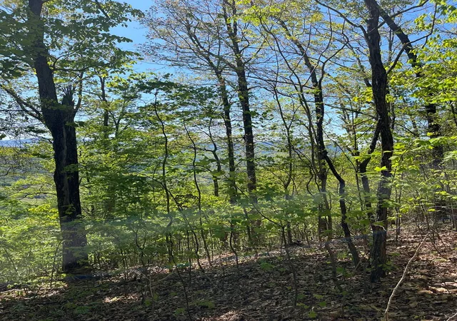 Photo 3 of Land for sale at Lot 11j Ash Branch View, Hayesville, NC 28904 | MLS# 98544298 | Listing updated on 2026-07-21