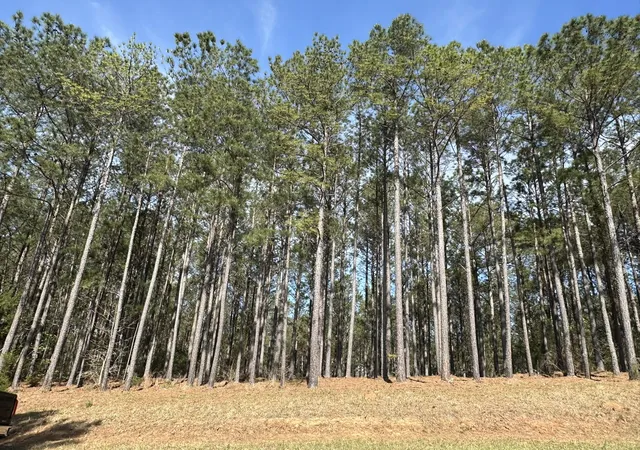 1st image of Lot 65 Maiden Cane Wy, Lincolnton, GA 30817 | MLS# 98254754