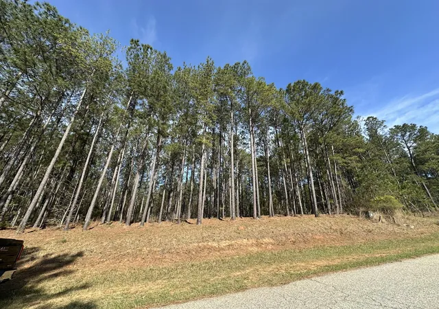 2nd image of Lot 65 Maiden Cane Wy, Lincolnton, GA 30817 | MLS# 98254754