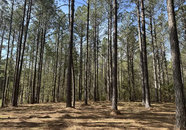 3rd image of Lot 65 Maiden Cane Wy, Lincolnton, GA 30817 | MLS# 98254754