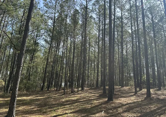 5th image of Lot 65 Maiden Cane Wy, Lincolnton, GA 30817 | MLS# 98254754