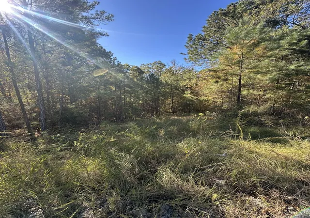 4th image of Lot 27&28 Lakeshore Estates Dr, Lincolnton, GA 30817 | MLS# 98224843