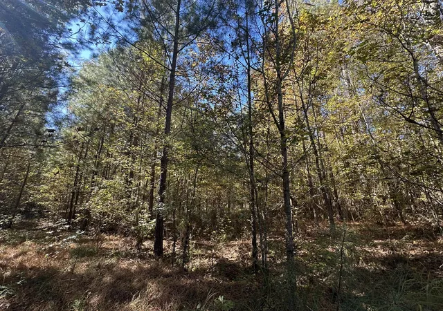 5th image of Lot 27&28 Lakeshore Estates Dr, Lincolnton, GA 30817 | MLS# 98224843