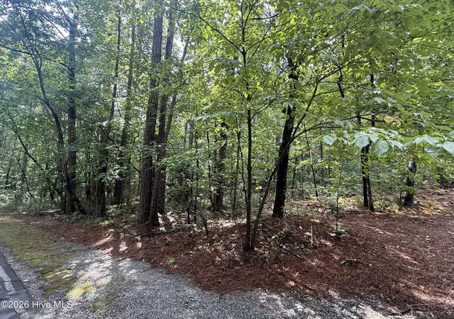 Homes for sale in West End, NC | 149 Hastings Rd, West End, NC 27376 | MLS# 100588961