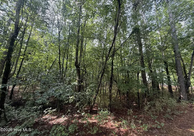 Homes for sale in West End, NC | 149 Hastings Rd, West End, NC 27376 | MLS# 100588961