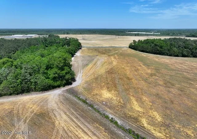 Homes for sale in Red Springs, NC | Tbd N Duffie North Rd, Red Springs, NC 28377 | MLS# 100580497