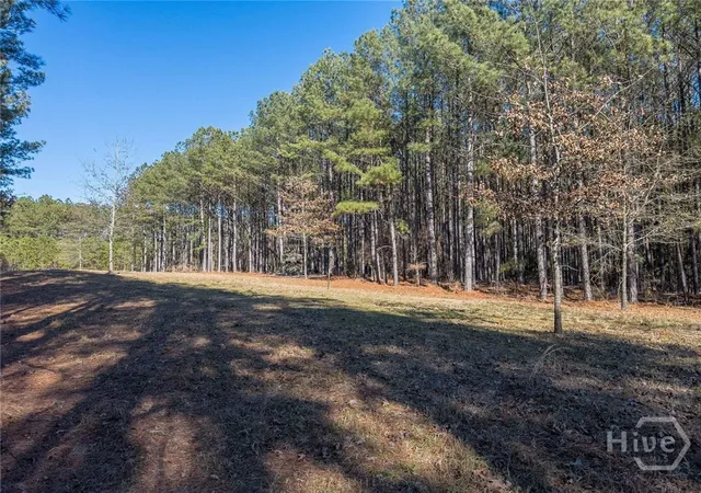 Photo 3 of Land for sale at (Undisclosed), Tignall, GA 30668 | MLS# CL362383 | Listing updated on 2026-08-17