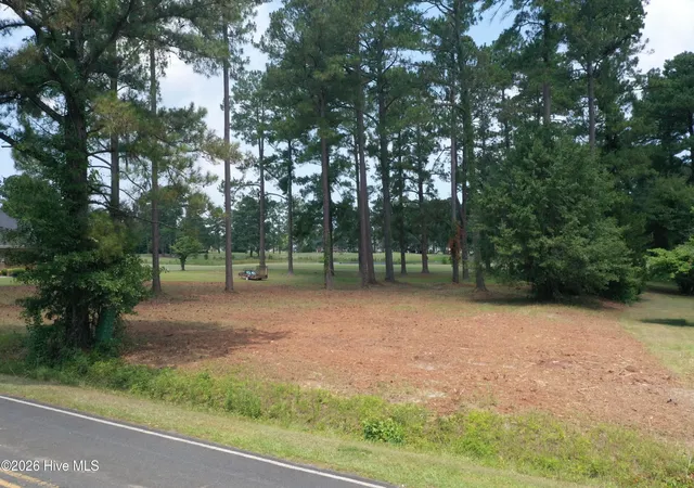 2nd image of 1940 Bill Hooks Rd, Whiteville, NC 28472 | MLS# 100597165