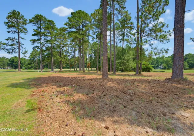 4th image of 1940 Bill Hooks Rd, Whiteville, NC 28472 | MLS# 100597165