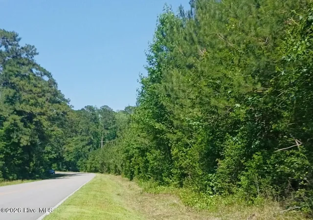 Land for sale at 82 Acres Point Caswell Rd, Atkinson, NC 28421 | MLS# 100591684