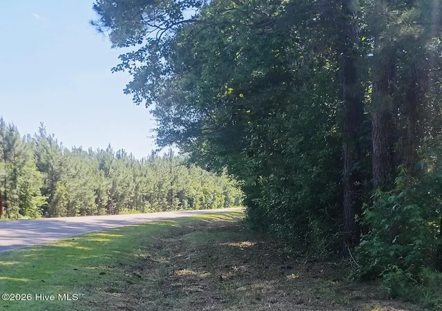 Photo 3 of Land for sale at 82 Acres Point Caswell Rd, Atkinson, NC 28421 | MLS# 100591684 | Listing updated on 2026-07-27