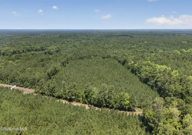 Photo 3 of Land for sale at 82 Acres Point Caswell Rd, Atkinson, NC 28421 | MLS# 100591684 | Listing updated on 2026-07-27