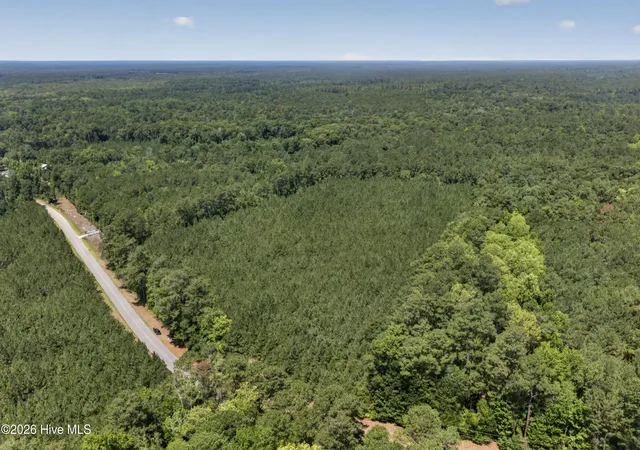 Photo 4 of Land for sale at 82 Acres Point Caswell Rd, Atkinson, NC 28421 | MLS# 100591684 | Listing updated on 2026-07-27