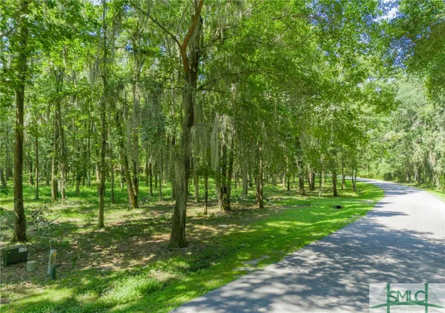 17th image of 312 Mcallister Lndg, Richmond Hill, GA 31324 | MLS# SA316738