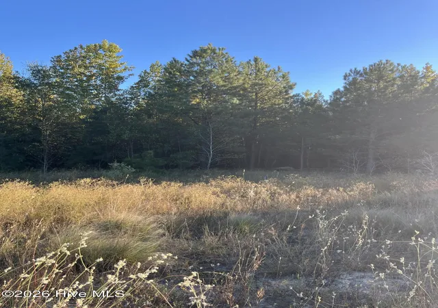 Photo 1 of Land for sale at 13420 Hasty Farm Wds Rd, Laurinburg, NC 28352 | MLS# 100612143 | Listing updated on 2026-10-23