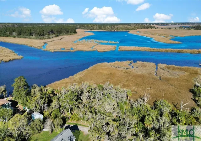 4th image of 0 Palm Island Dr, Midway, GA 31320 | MLS# SA328180