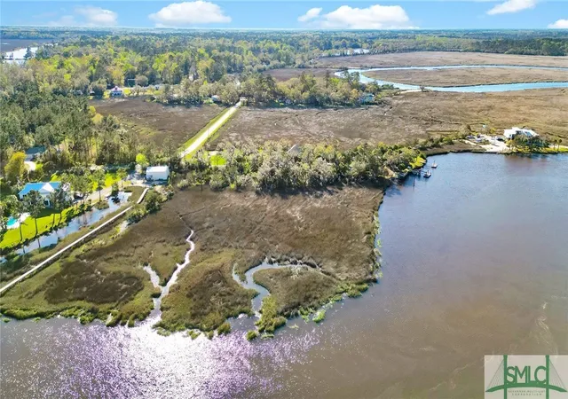 5th image of 0 Palm Island Dr, Midway, GA 31320 | MLS# SA328180