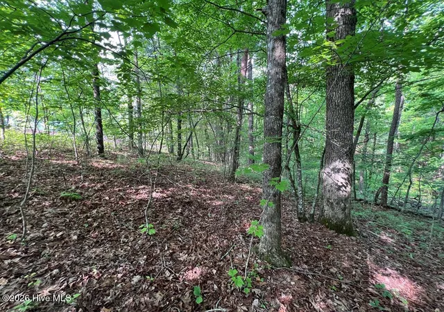 Photo 1 of Land for sale at Lot 1 Leonard Ln, Murphy, NC 28906 | MLS# 100590845 | Listing updated on 2026-08-18