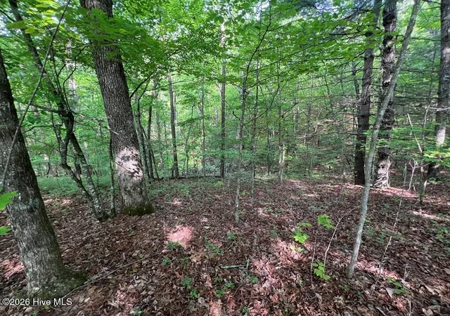Photo 2 of Land for sale at Lot 1 Leonard Ln, Murphy, NC 28906 | MLS# 100590845 | Listing updated on 2026-08-18