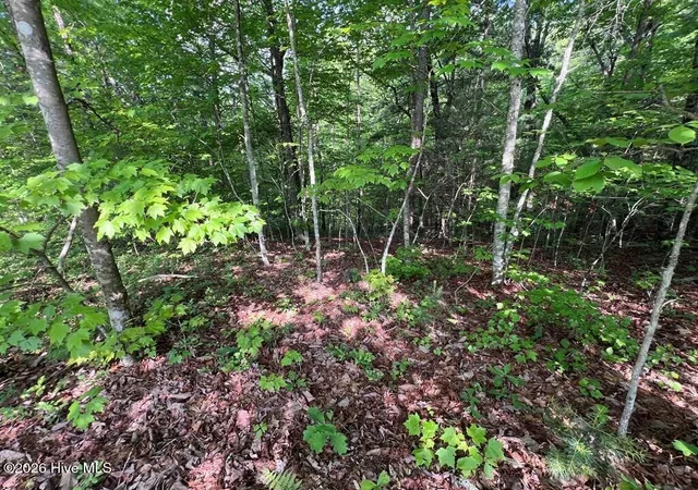 Photo 3 of Land for sale at Lot 1 Leonard Ln, Murphy, NC 28906 | MLS# 100590845 | Listing updated on 2026-08-18