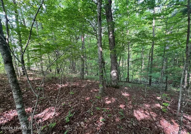 Photo 4 of Land for sale at Lot 1 Leonard Ln, Murphy, NC 28906 | MLS# 100590845 | Listing updated on 2026-08-18