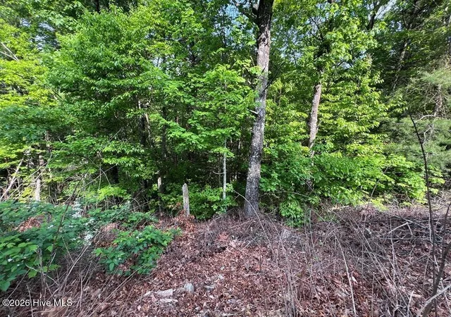 Photo 5 of Land for sale at Lot 1 Leonard Ln, Murphy, NC 28906 | MLS# 100590845 | Listing updated on 2026-08-18