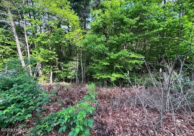 Photo 7 of Land for sale at Lot 1 Leonard Ln, Murphy, NC 28906 | MLS# 100590845 | Listing updated on 2026-08-18