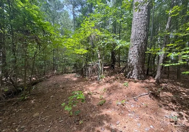 Photo 2 of Land for sale at 0 W Highway 72, Hull, GA 30646 | MLS# CL361232 | Listing updated on 2026-07-25