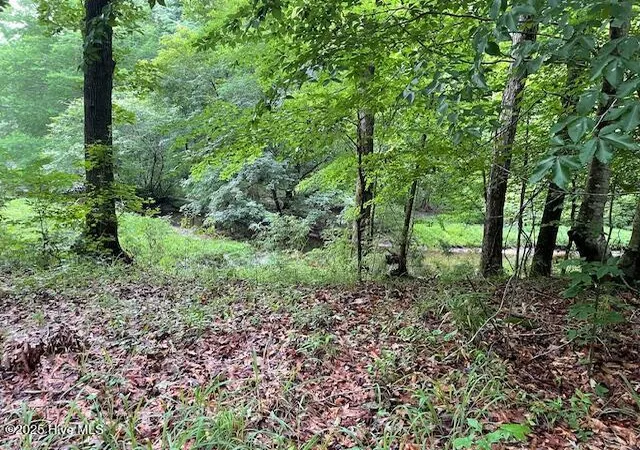 Photo 3 of Land for sale at 62 Live Oak Dr, Elizabethtown, NC 28337 | MLS# 100509929 | Listing updated on 2026-08-07
