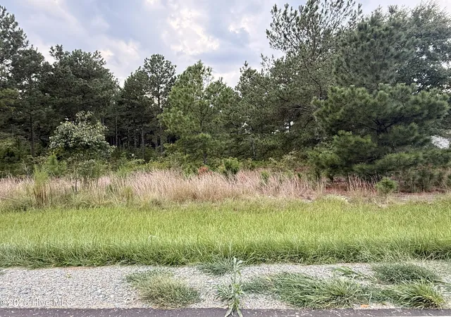 Photo 1 of Land for sale at 1284 Windblow Rd, Jackson Springs, NC 27281 | MLS# 100599813 | Listing updated on 2026-08-29